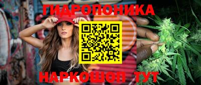 spice Вязьма