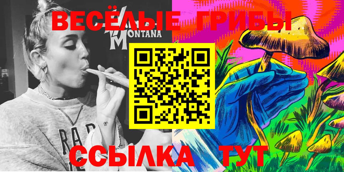Псилоцибиновые грибы Cubensis  Вход с VPN  Владивосток  Галлюциногенные грибы Magic Shrooms 
