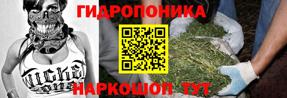 Марихуана OG Kush  Бошки Шишки OG Kush  Марихуана VHQ  Владивосток  МАРИХУАНА OG Kush  Вход с VPN 